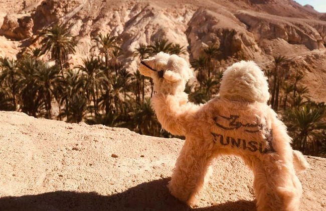 Tamerza, Chebika, & Midès Day Trip - Photo 2