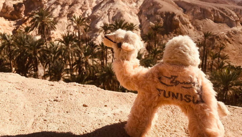 Tamerza, Chebika, & Midès Day Trip - Photo 2