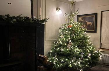 Favour Royal Cottage - dog friendly forest escape - Foto 26