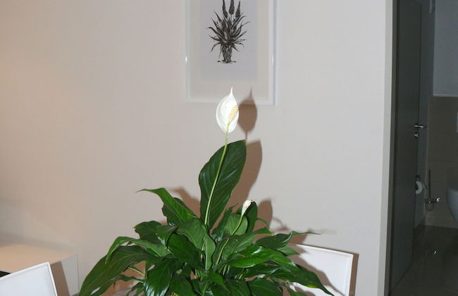 The Quadrant Apartments - Foto 22