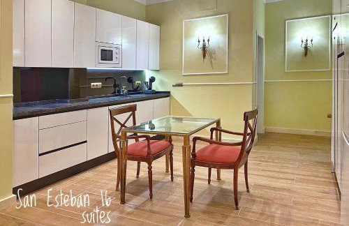 SUITES SAN ESTEBAN 16 Ducal - Foto 9
