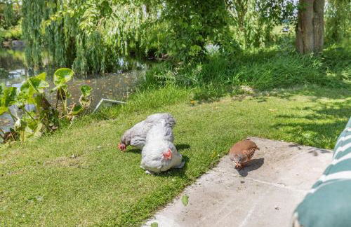 Willow Cottage - Foto 33