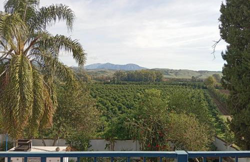LOS DOS CEDROS - Foto 7