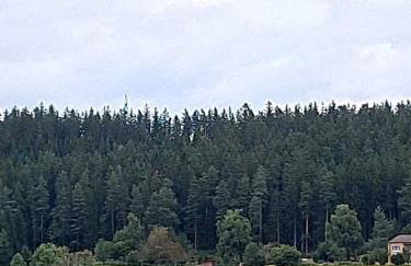 Blackjulie Ferienwohnung im Schwarzwald mit Balkon und Parkplatz ruhig - Foto 1