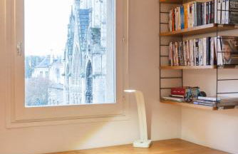 L'appart des Ducs - Vue sur la basilique à Nancy - Foto 13