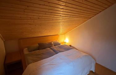 Blockbohlen HolzHaus mit Sauna, Outdoor Jacuzzi und BadeTeich - Foto 35