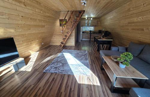 Domki Bory Tucholskie - Kurs na wypoczynek - Foto 43