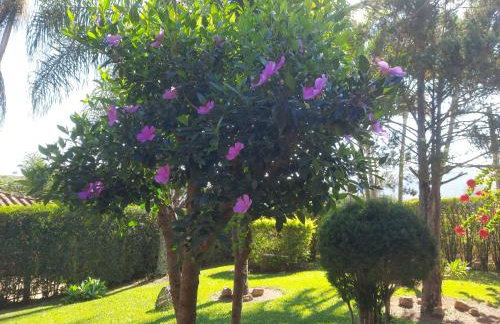 Chácara Vicente Gazzi - Foto 33