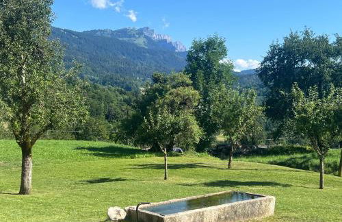 Chalet paisible à 4km de la station des Carroz - Chalet St François de Sales - Foto 25