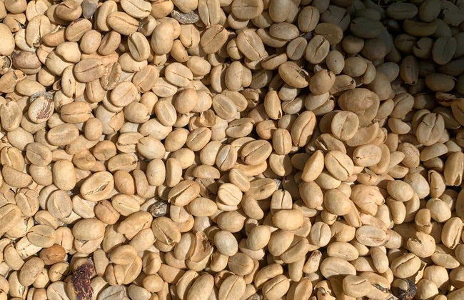 Hiking in the Minca Jungle - Photo 2