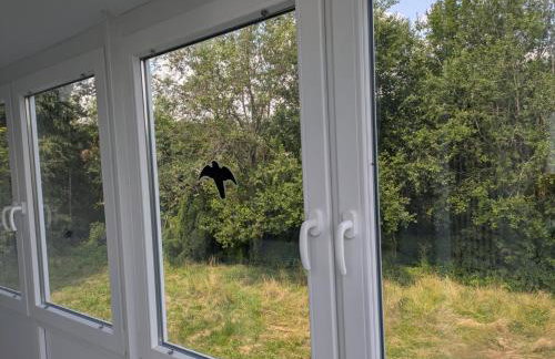 Spacious and Luminous Apartment in a Bungalow - Foto 2