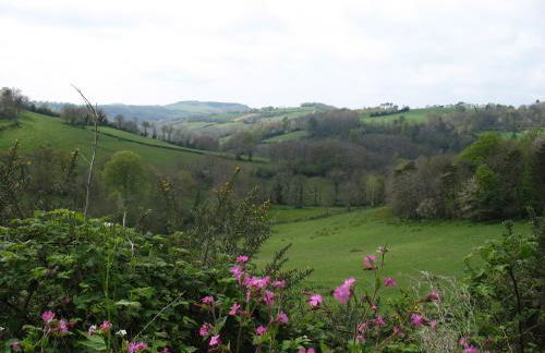 Gîte La Maison du Meunier - Foto 10