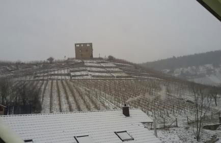 Giebelzimmer mit Weinbergblick - Foto 17