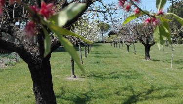 Silos Torrenova - Foto 5