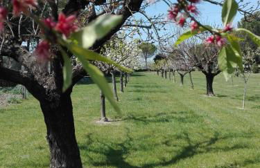 Silos Torrenova - Foto 5