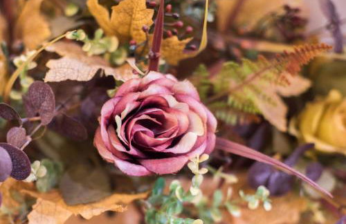 La Casa Gialla di Buonconvento - Foto 17