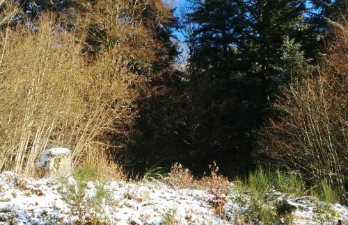 Charmant logis Gérardmer - Photo 64