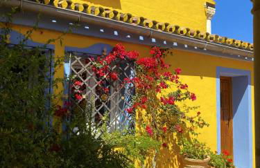 Cortijo La Saleta Banús - Foto 18