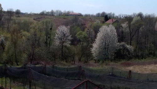 Studio apartman Šafarić - Foto 2