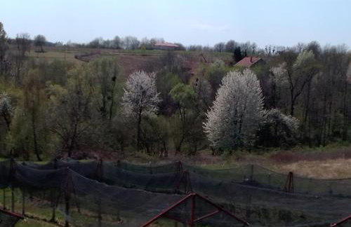 Studio apartman Šafarić - Foto 2