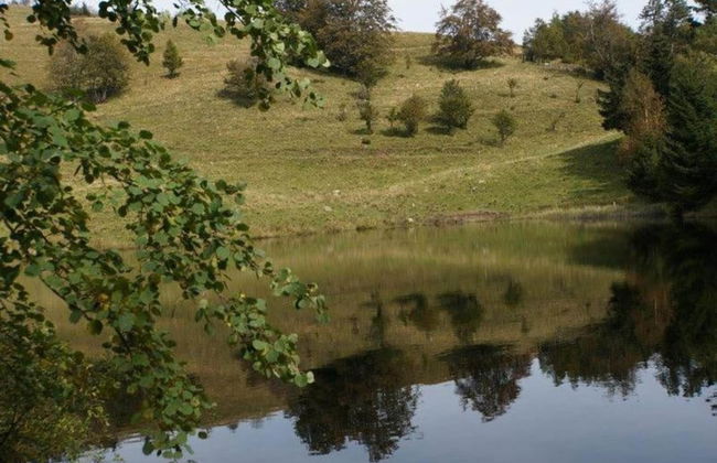 Chalet in St Maurice Near Ballon D'alsace - Foto 34