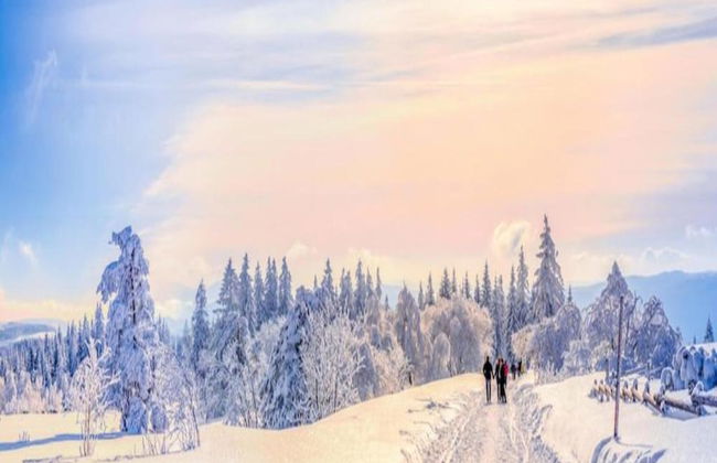 Ferienwohnung im Malerischen Kniebis - Foto 26