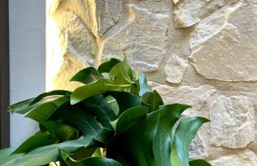 Arcos de Medina - Apartamentos premium - Foto 37