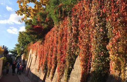 Cosy Castle Appartment Nürnberg - Charmanter Souterrain Altbau - Foto 33