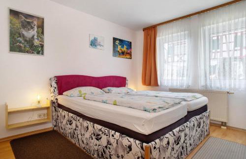 Ferienwohnungen Gierer - Foto 80