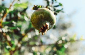 CASA DI NONNA ANNY - Foto 45