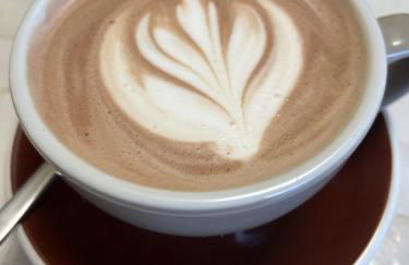 La Salamandre de l Olivier - Le Magnolia - Foto 33