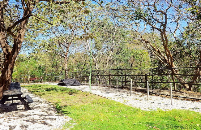 The Oaks Tamarindo Condominiums - Photo 53