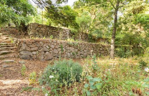 Quinta Da Relva - A traditional farmhouse in a stunning location - Foto 65