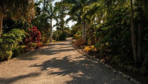 The Starfish - Foto 3