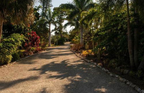 The Starfish - Foto 3