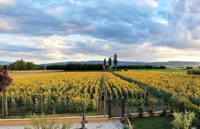 Il Podere di Francesco - Foto 74