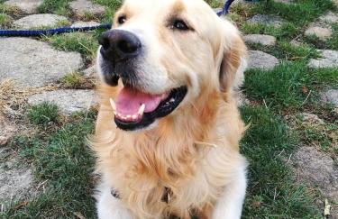 El Balcon de Los Sueños - Foto 26