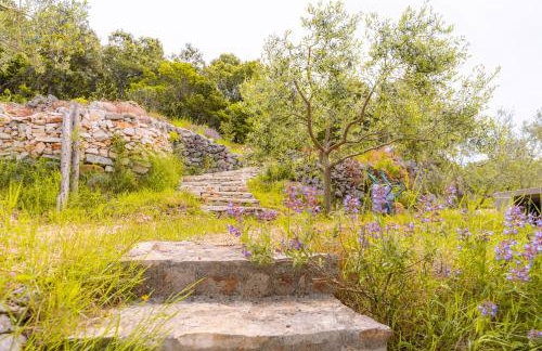 Meadow Hill - Foto 24