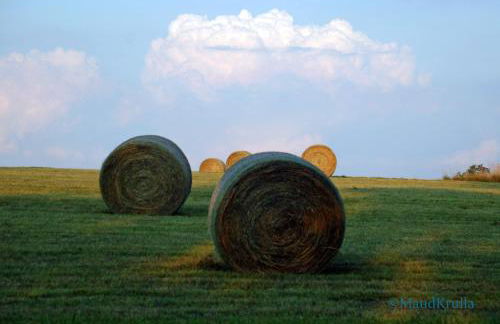 Villa Maud - Foto 24