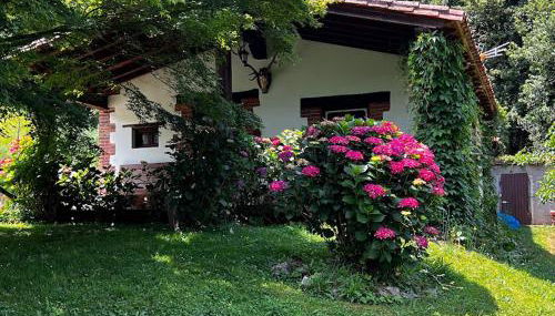 Los Acebos de Peña Cabarga, Cúpula experiencias - Foto 2