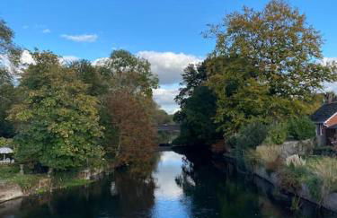 New studio apartment - minutes walk to Cathedral - Foto 29