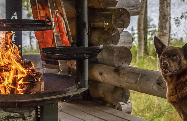 Talasniemi - Foto 40