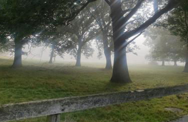 The Herons - Foto 32