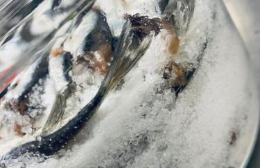 Il Giardino Dorato - Foto 65