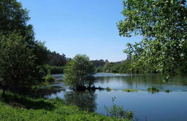 Holiday Home in Ponte de Lima With Pool - Foto 39