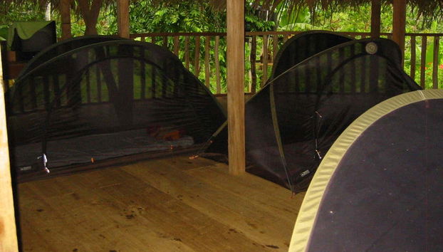 Yorkín Indigenous Community: 2 Day Tour - Foto 4