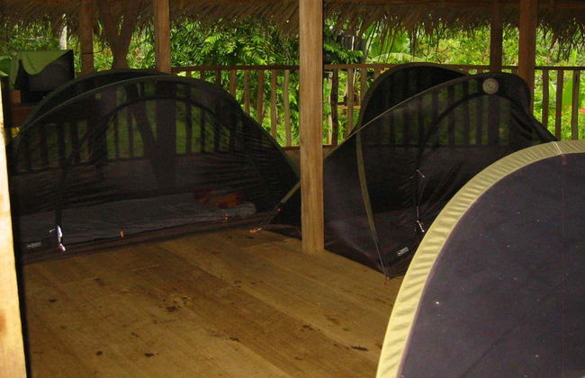 Yorkín Indigenous Community: 2 Day Tour - Photo 4