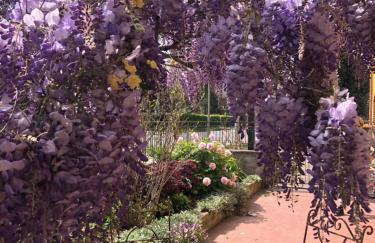 Il Lanificio airb&b - Foto 3