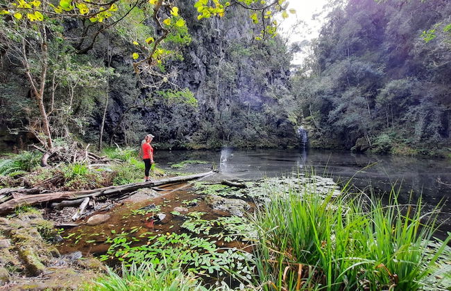 Moon Shine on Whiskey Creek - Foto 41