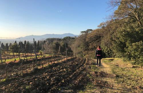 Desideri Tuscany House - Foto 26